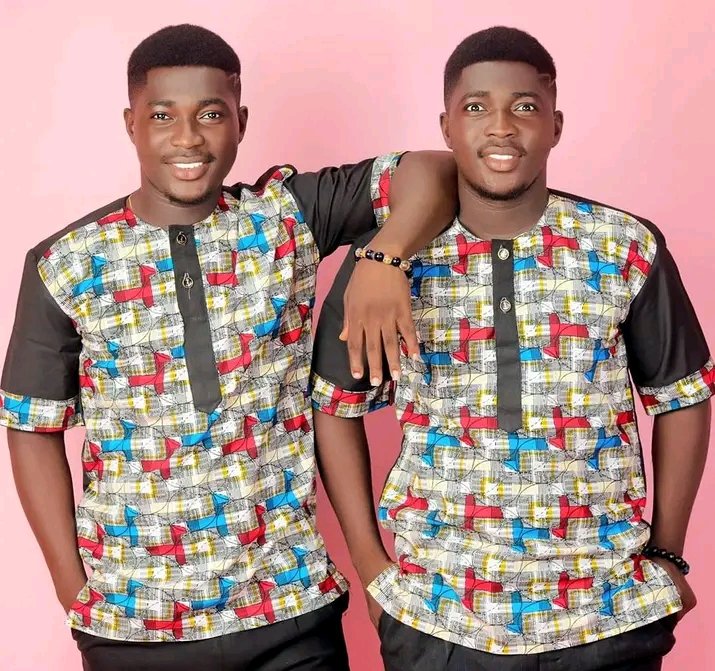 Twins Diaries